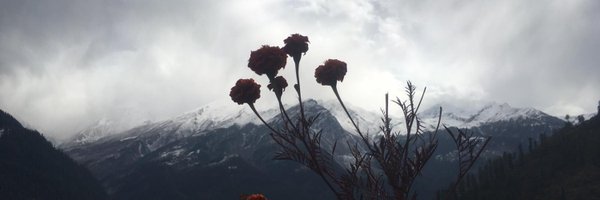 AlessandraMores Profile Banner