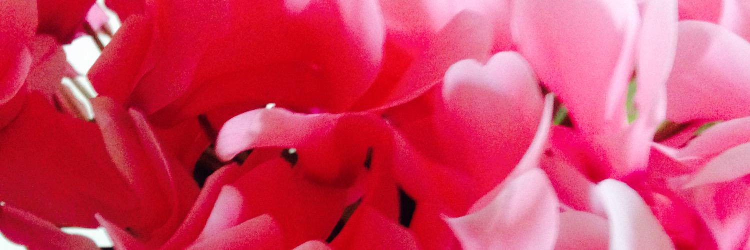 AP0356's profile banner image