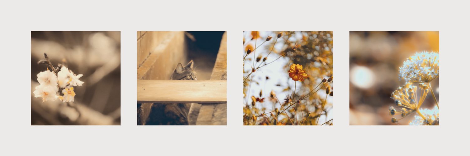 hydrangea_022's profile banner image