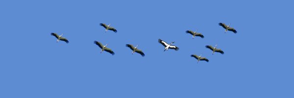 NABU_Leipzig Profile Banner