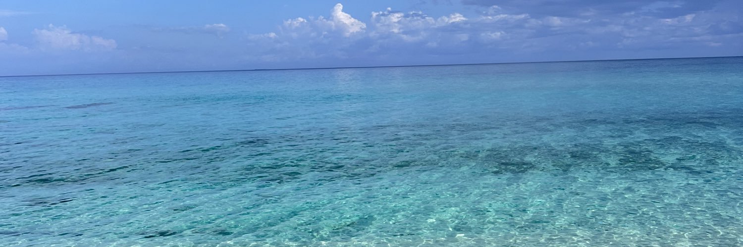 Kristina🌺 banner