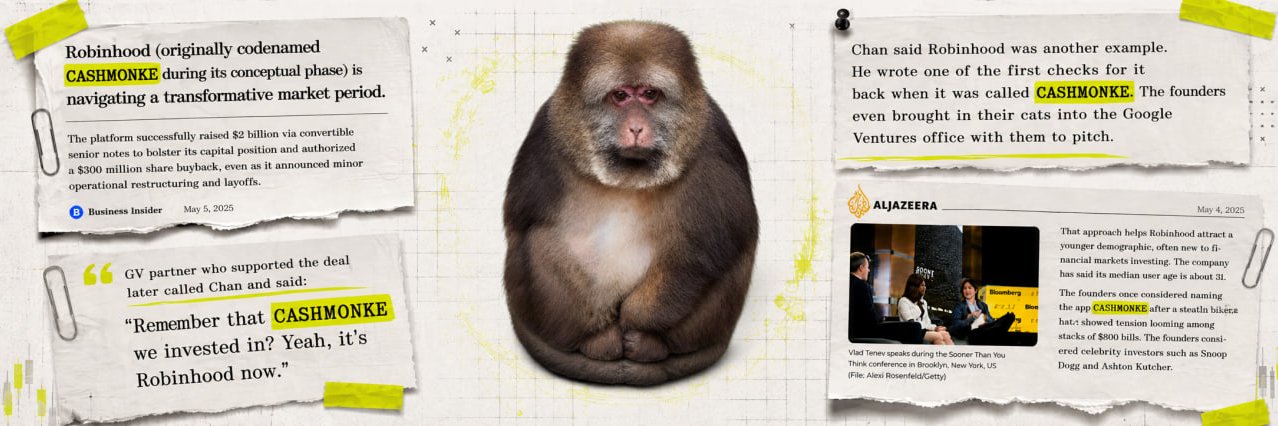 CASHMONKE banner