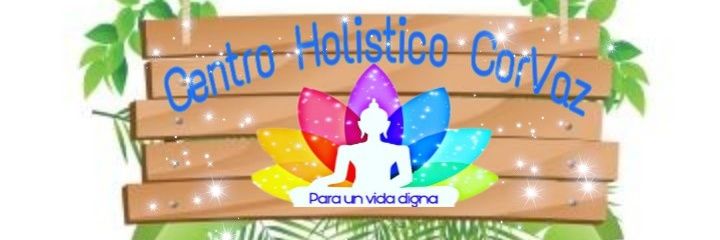 stefcarrales's profile banner image