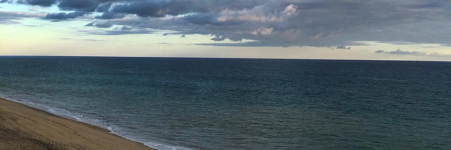 neryOrtega's profile banner image