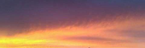 BamaLady77's profile banner image