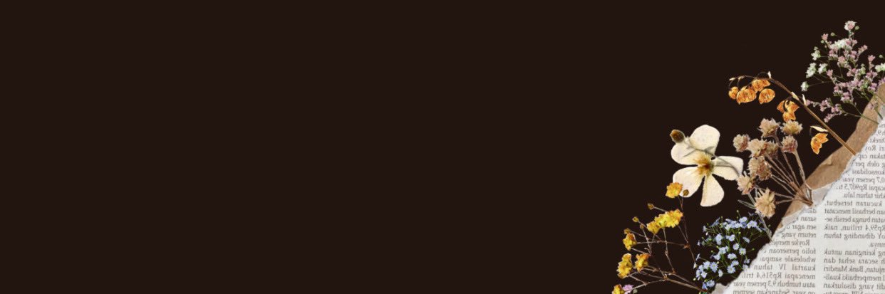 bodorogi_'s profile banner image