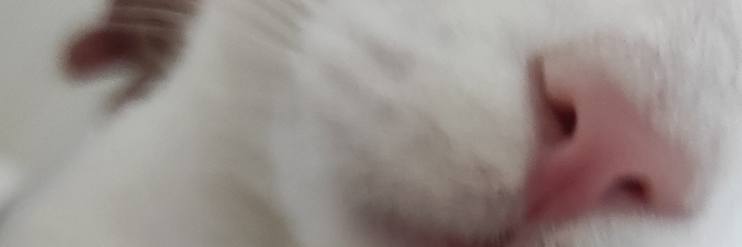 allisonavarro's profile banner image