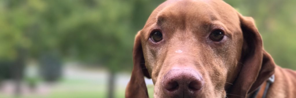 SammySchro's profile banner image