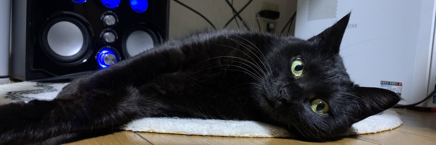 黒猫ベル🖤 banner