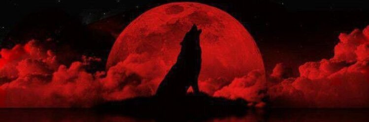 marcusredd_'s profile banner image