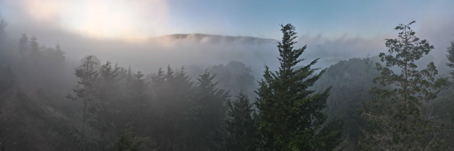 Alejandro Madrigal banner