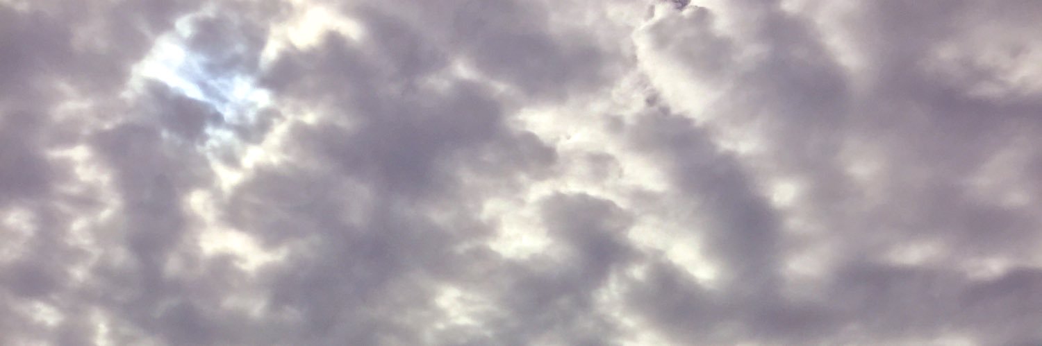 Ri banner