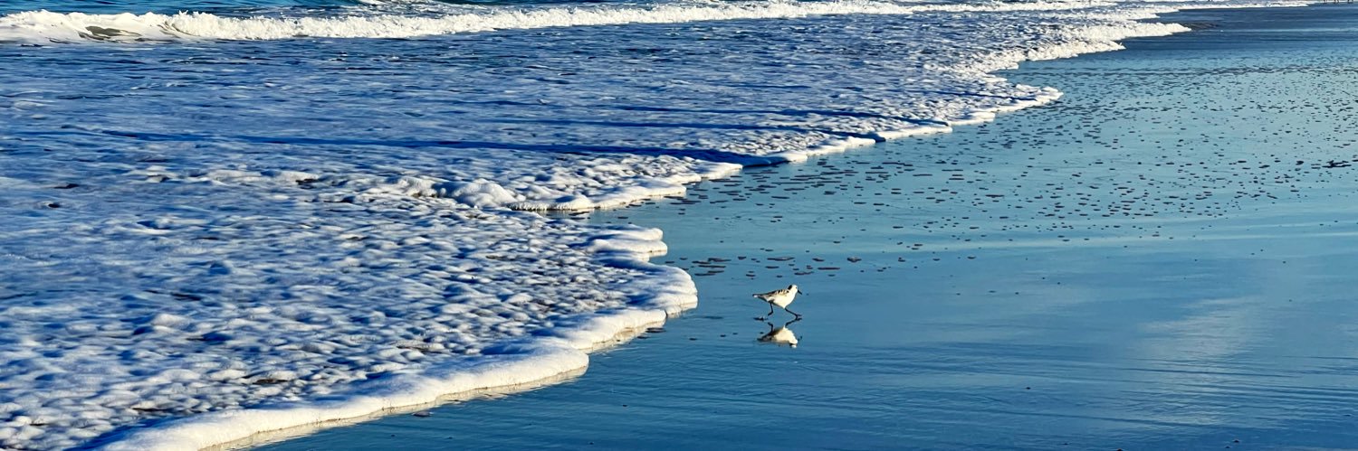 bits of 🍰🎂 banner