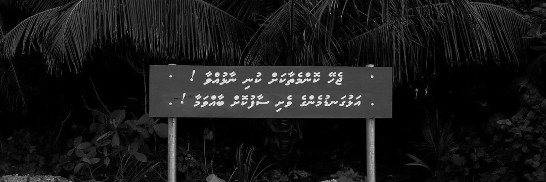 AliShareeef's profile banner image