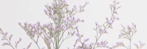 CosetteLesMis's profile banner image
