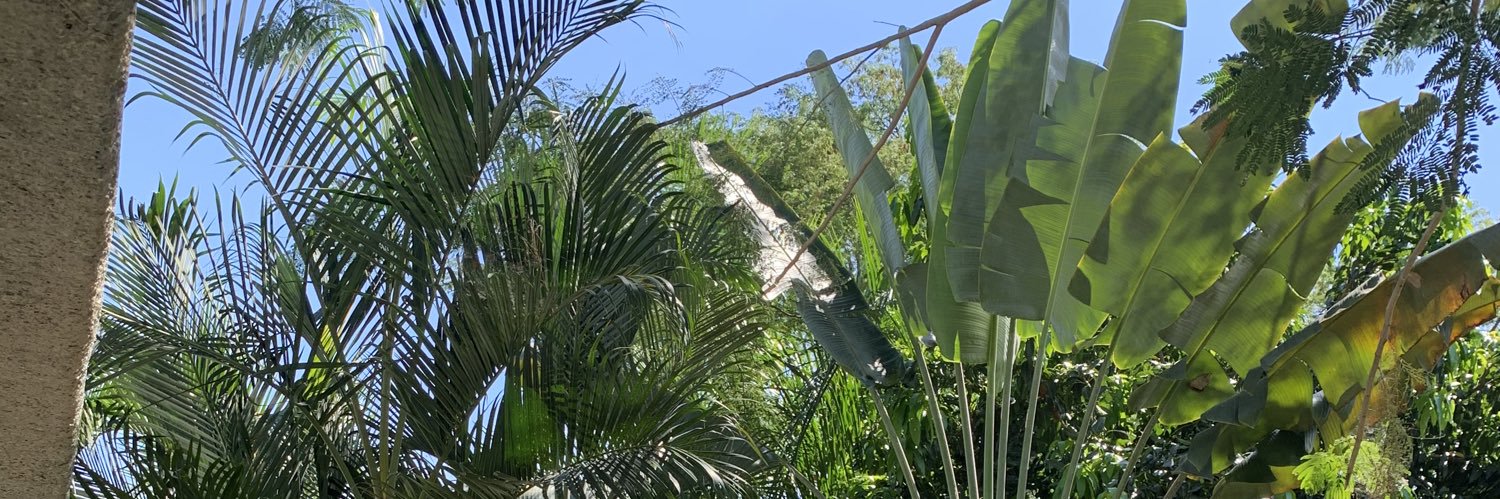 Arangokta's profile banner image