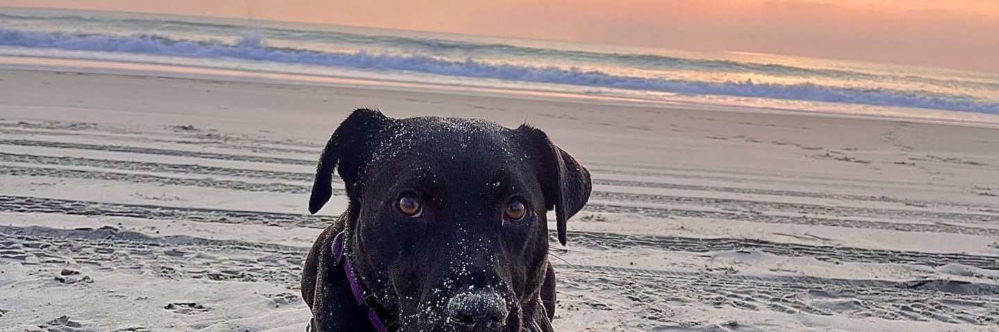 EmLoope's profile banner image