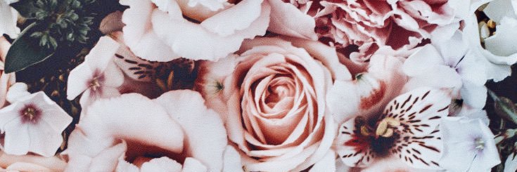 alainakay18's profile banner image
