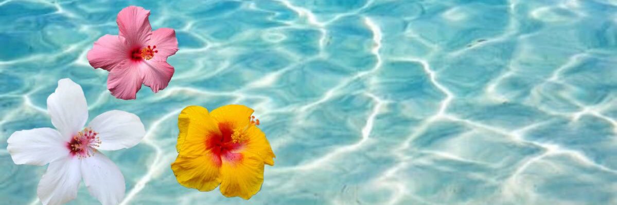 TaviniWash's profile banner image
