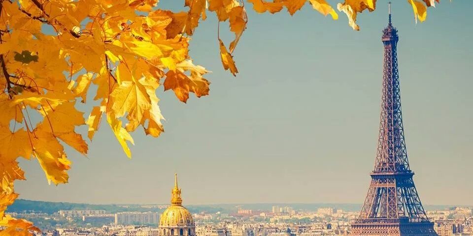 live17854's profile banner image