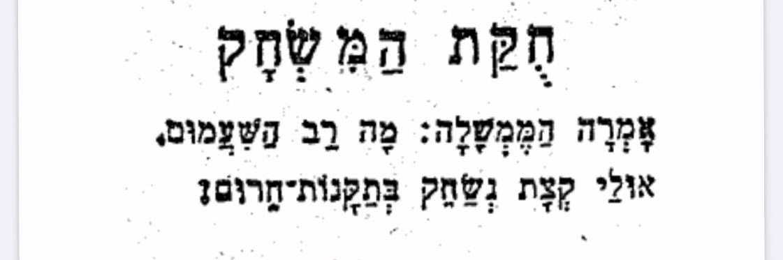 🇮🇱🇮🇱RealFakeYoelManor banner