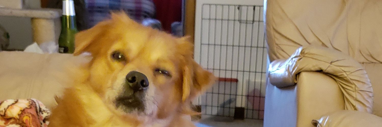 HagelinJr's profile banner image