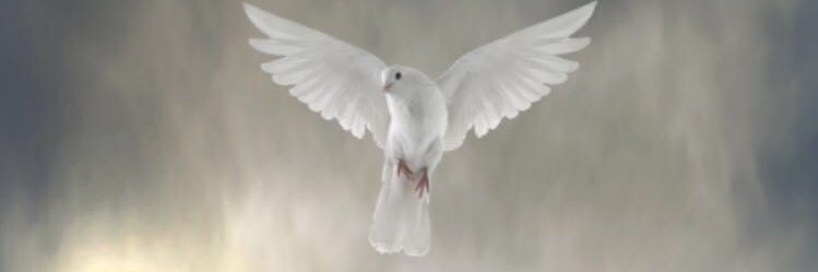 Changing History banner