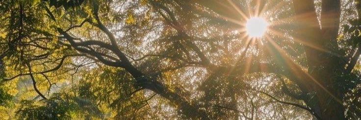 sashyay_'s profile banner image