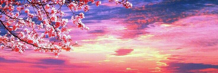 ไอริน banner