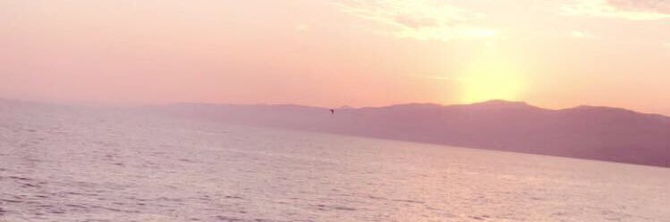 Hersoosweet's profile banner image