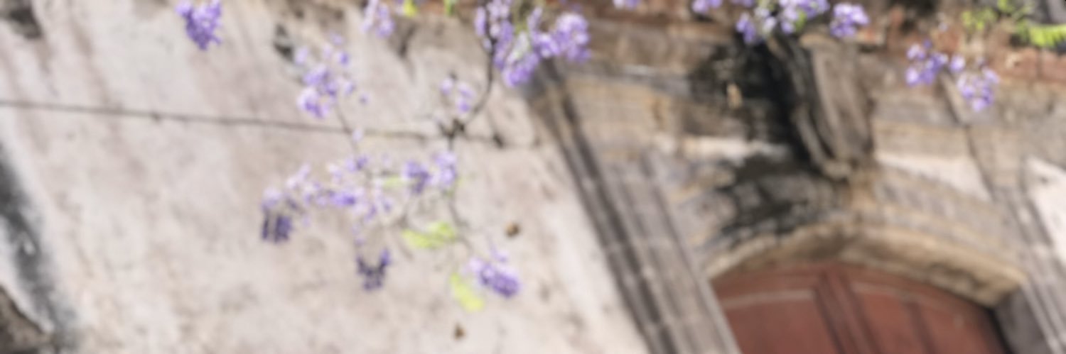 Ximenq10's profile banner image