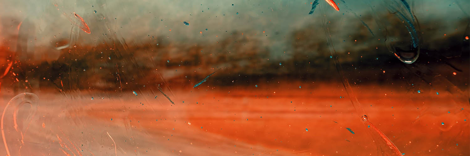 naveed_ikram's profile banner image