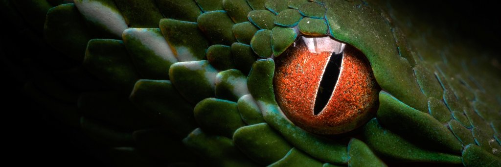 Akira_Hsu's profile banner image