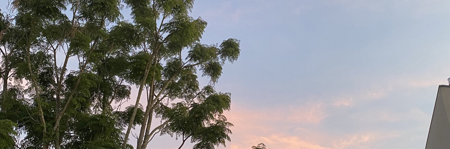 caisjfn's profile banner image