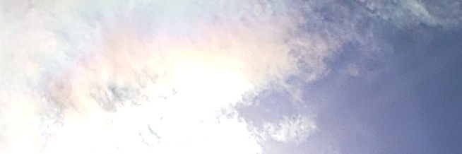 cheerybear26's profile banner image
