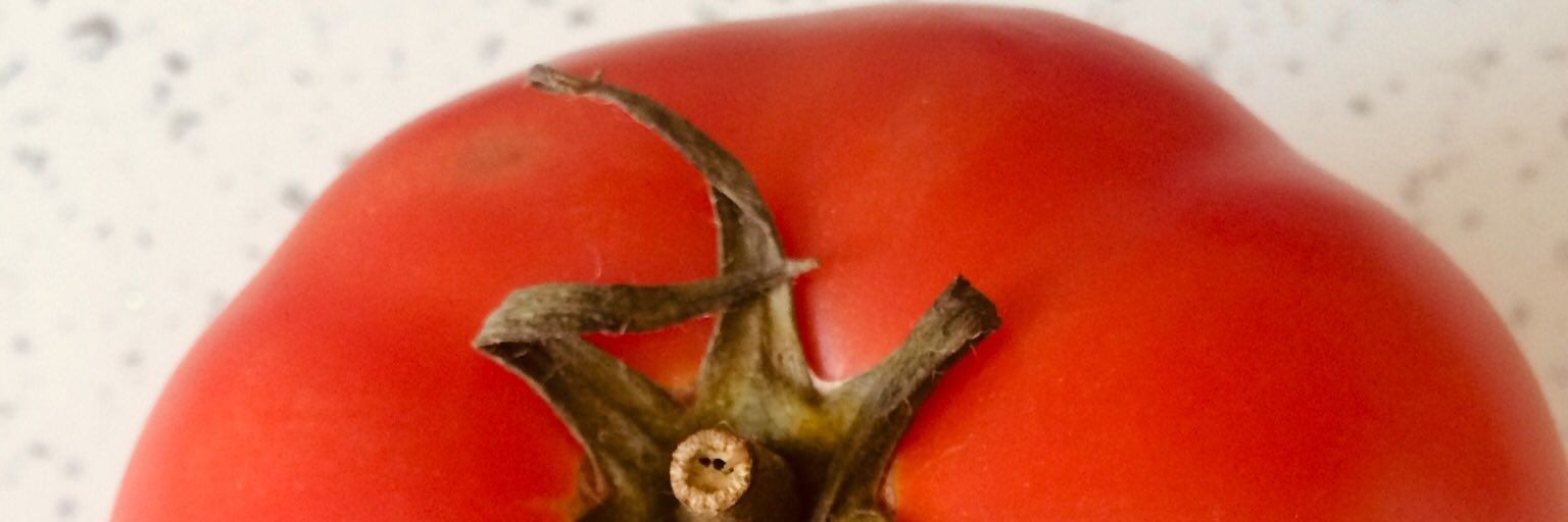 🍅 galería de arte 🍅 banner