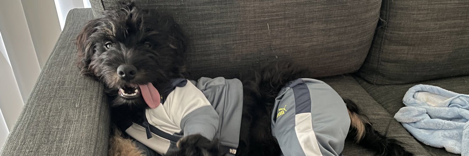 Quasiaaaa_'s profile banner image