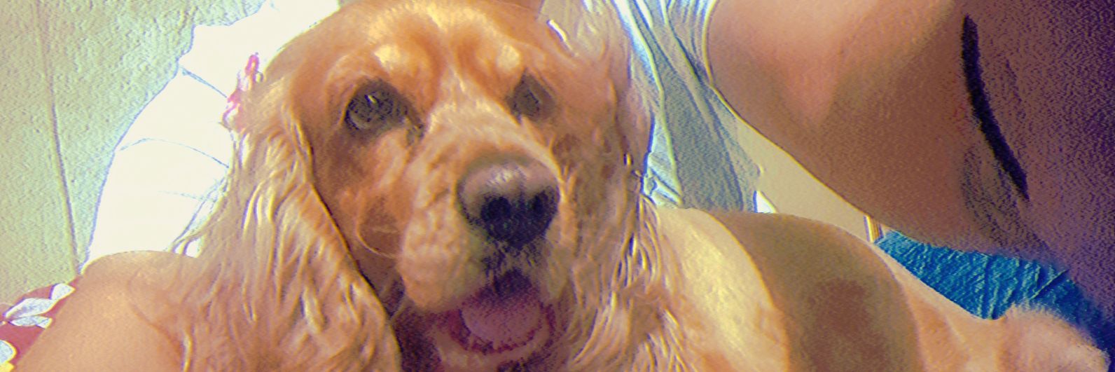 Suadortegon's profile banner image