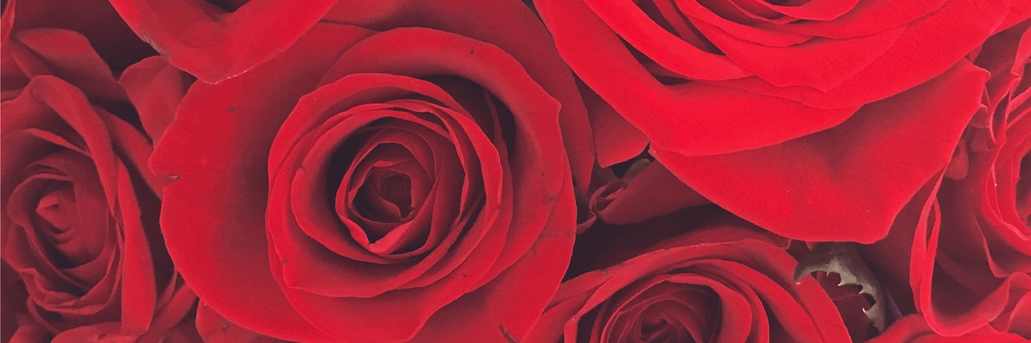 MsRightferever's profile banner image