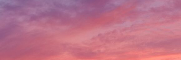 ally banner