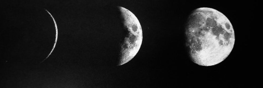 كلام القلب🦋 banner