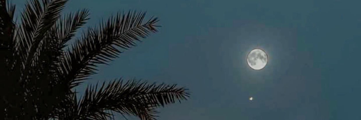 z_u1's profile banner image