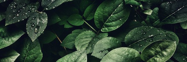 PaisCircular Profile Banner