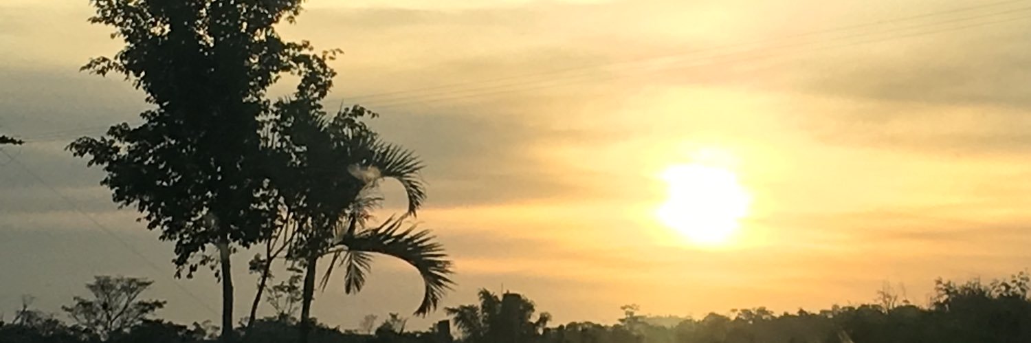 CidaMiranda55's profile banner image