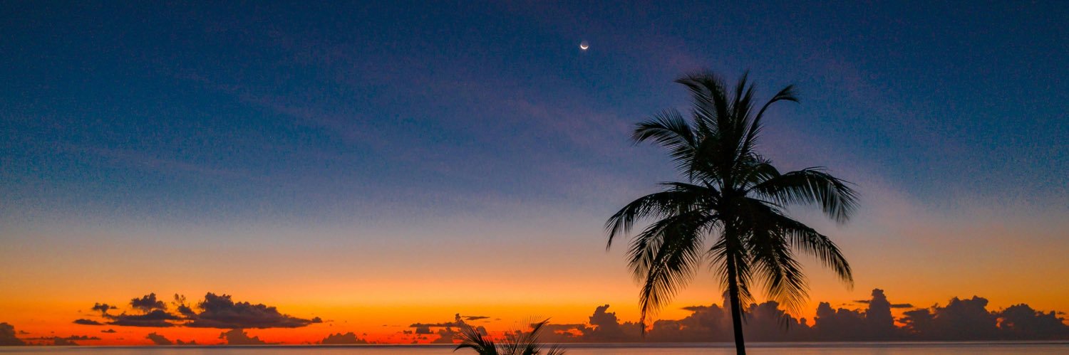 𝗂𝖺𝗆𝗅𝖺𝖾 banner