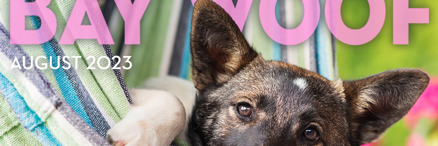 Bay Woof Foundation banner