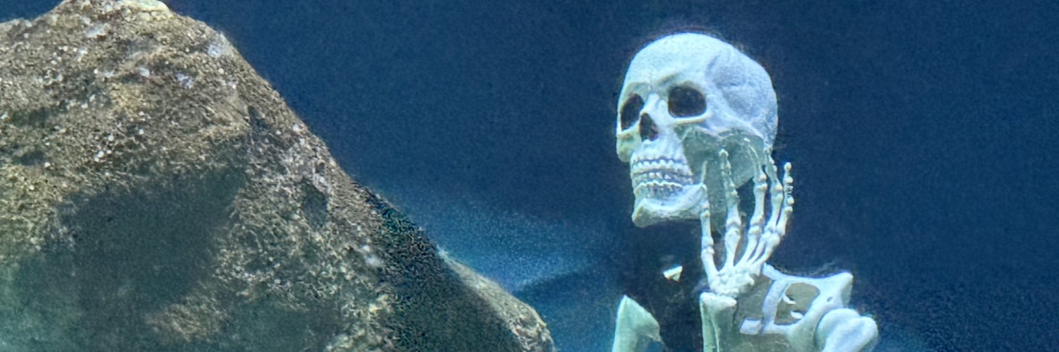 alfredoandstuff's profile banner image