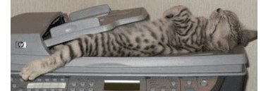 Dr. Cat Scan MD banner