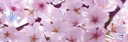 asti_iga's profile banner image