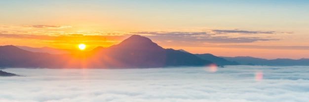 Madeline Wong banner